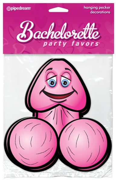 Pink & Purple Penis Banner | Hens Party | 12ft